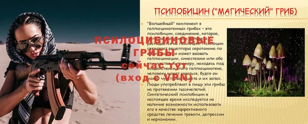 ECSTASY Надым