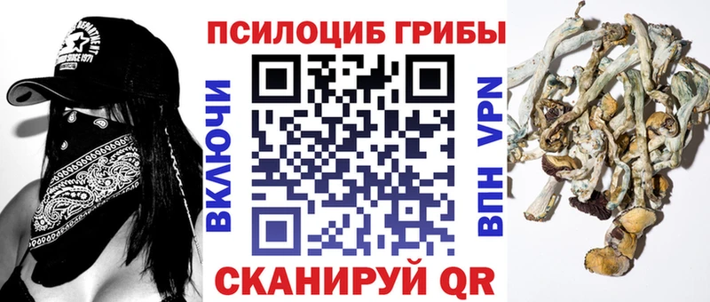 кракен онион  Полярные Зори  Галлюциногенные грибы Psilocybe 