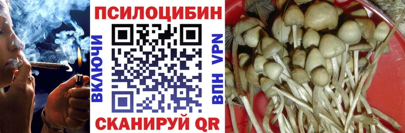 Псилоцибиновые грибы GOLDEN TEACHER Полярные Зори